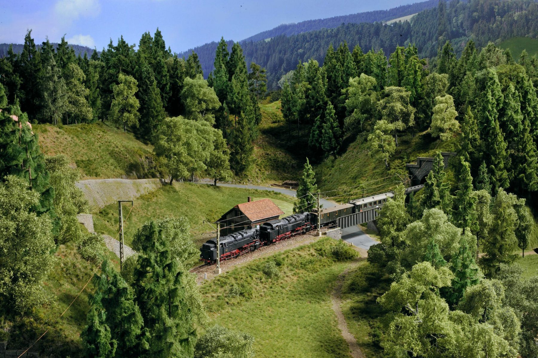Foto der Modellbahnanlage: Zug fährt durch den Schwarzwald